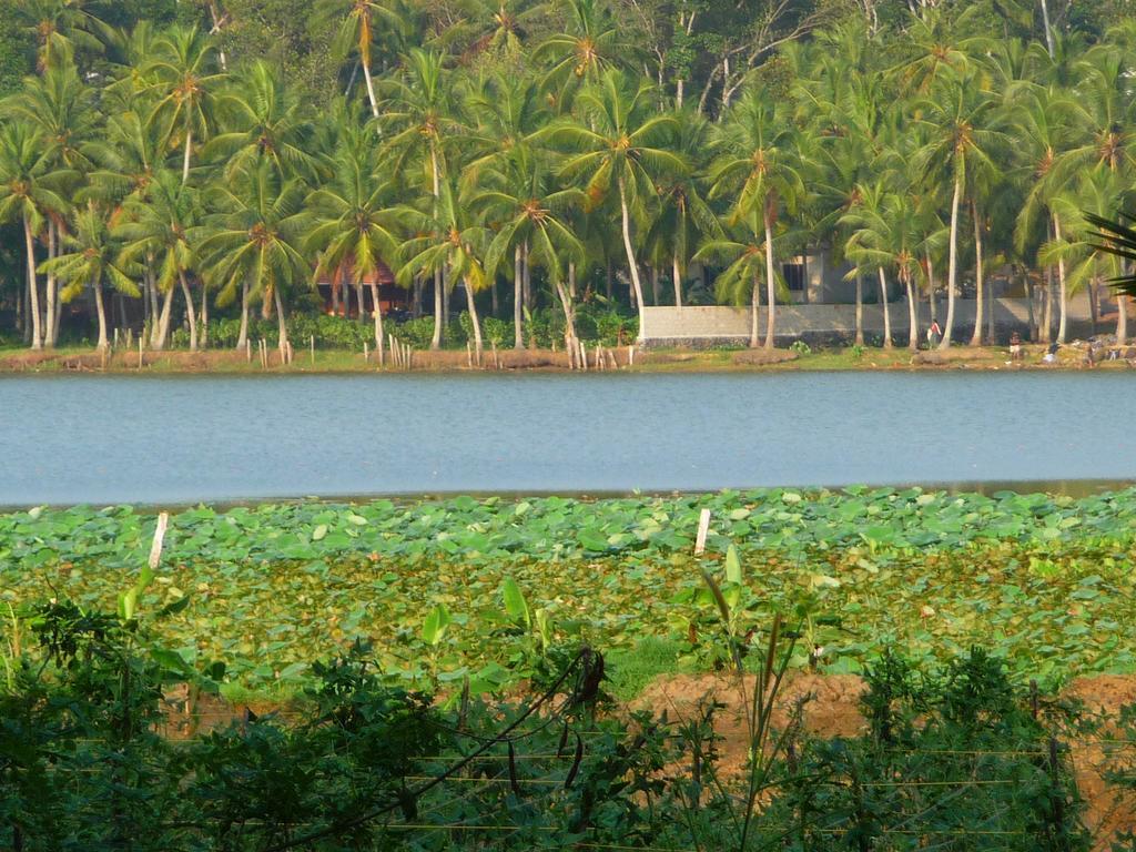 Ganesh Ayurveda Holiday Home Apartment Kovalam Exterior photo